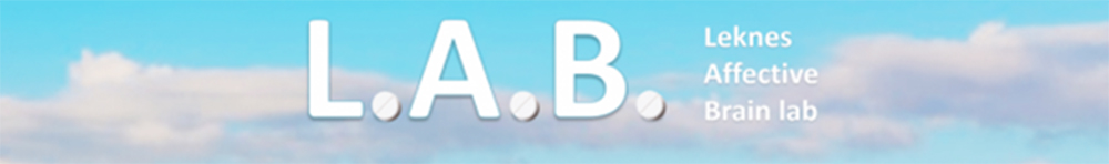 Forskningsgruppens logo; forkortelsen LAB på en blå himmel med skyer.