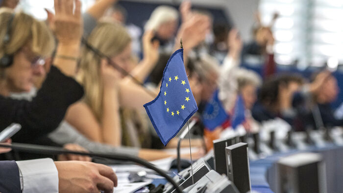 Auditorium with raised hands and EU flag