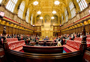 Inside the House of Lords, a big room with rows of seats facing each other.