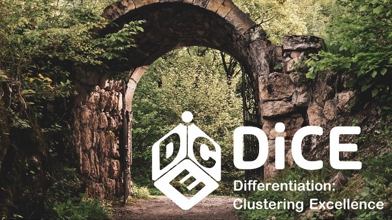 Logo for DiCE. A forest in the background.