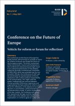 eu3d-policy-brief-1-may-2021-1