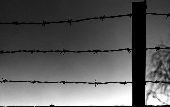 Barbed wire
