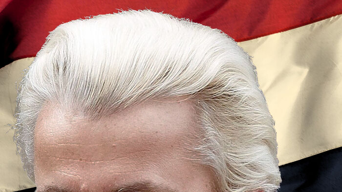 top of a head with white hair