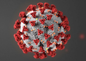 Bilde av covid 19 viruset