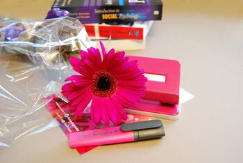 blomst ,kronblad ,rosa ,materiell egenskap ,magenta.