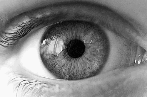 Image may contain: Eye, Iris, Close-up, Eyelash, Organ.