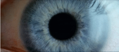 Image may contain: Iris, Eye, Blue, Close-up, Organ.