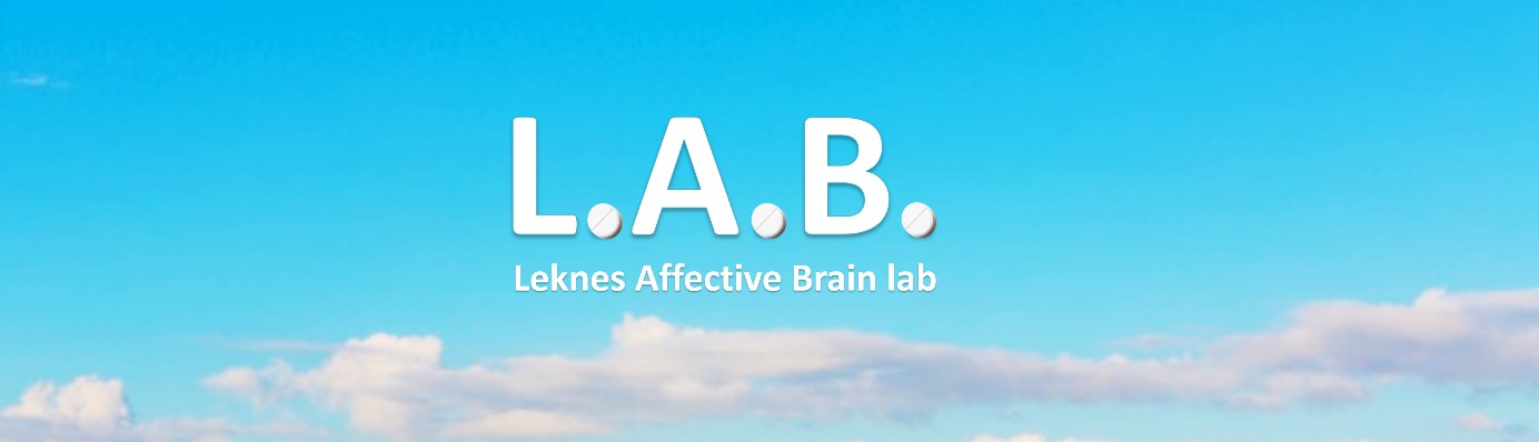 LAB logo