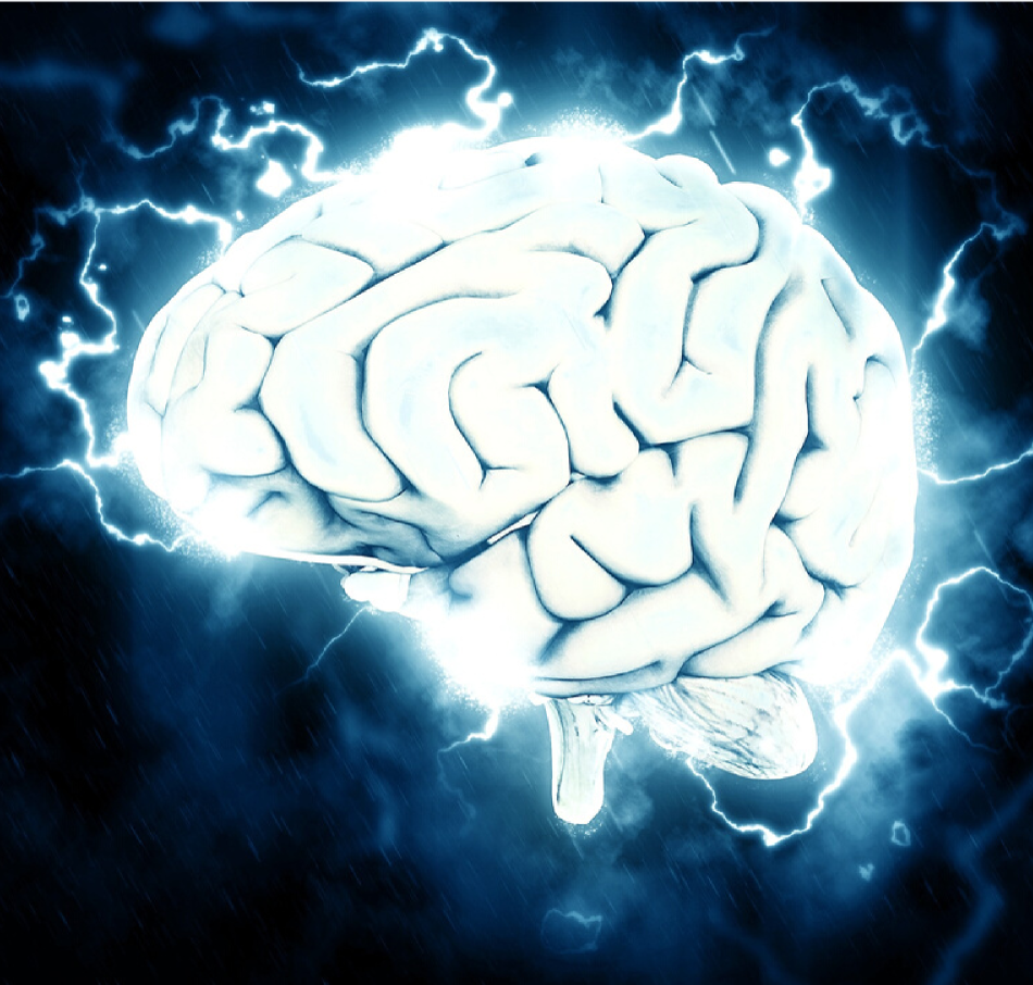 Image may contain: Brain, Water, Brain, Organ, Electric blue.