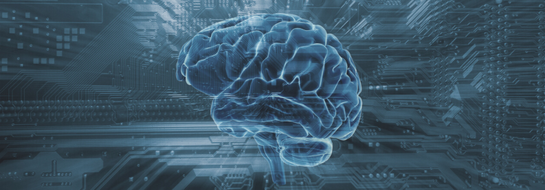 illustration of a brain