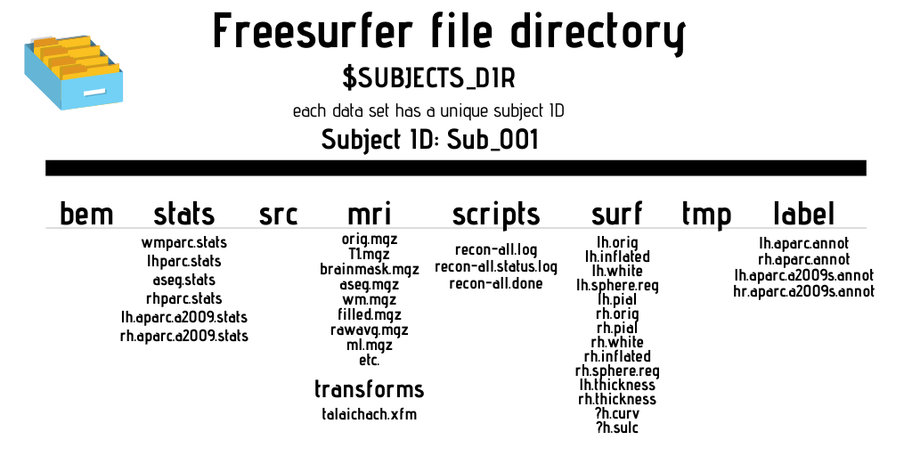 illustration of freesurfer file directory