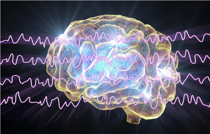 illustration of a brain and waves