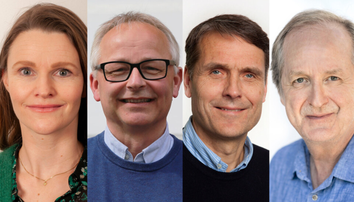 Bildet kan inneholde: person, hår, hake, smil, kinn.