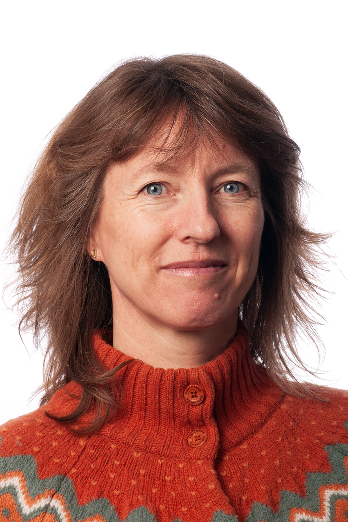 Bilde av Lillan Halsaa