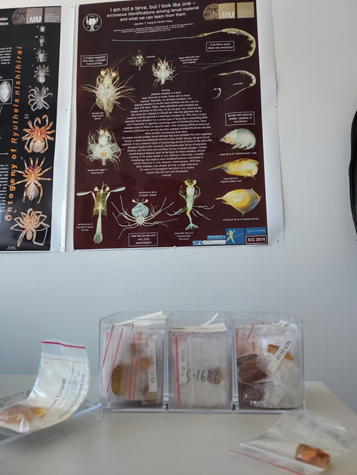 Plakat inne i et laboratorium.
