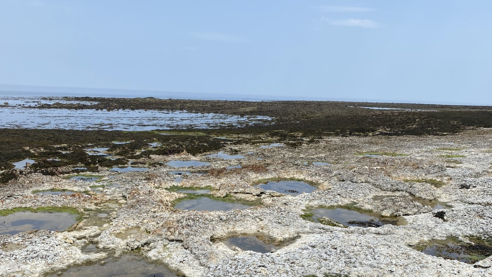Limestone hollows