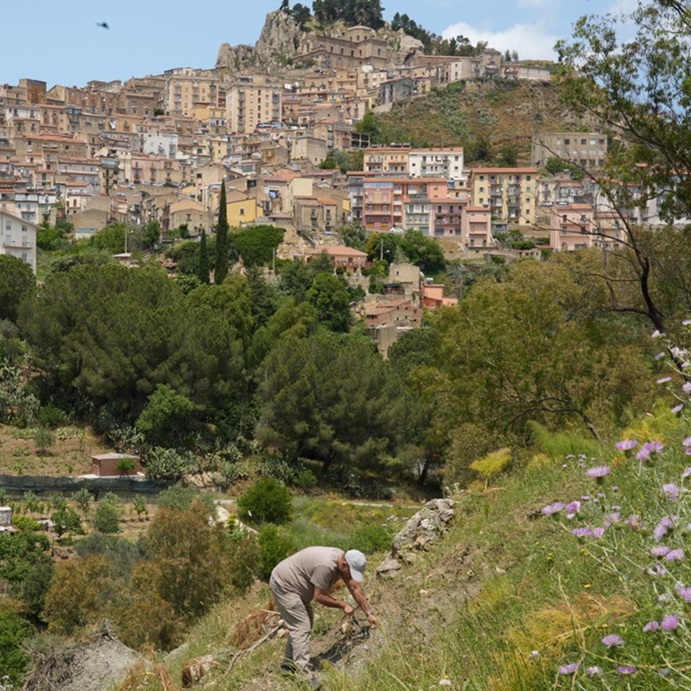 Old italian city in the background. Man taking samples in the foreground
