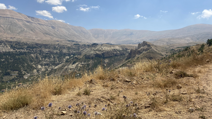 Image may contain: Cloud, Sky, Plant, Mountain, Natural landscape.