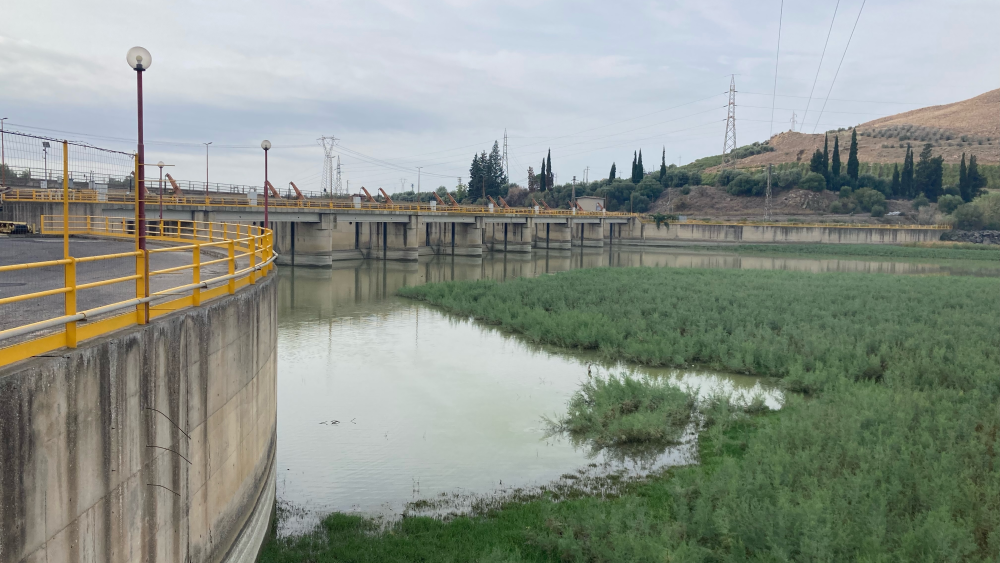 A picture of a large concrete and metal dam across a river in which green shrubs are growing.