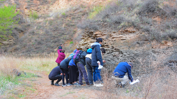 A group of people looking for fossils