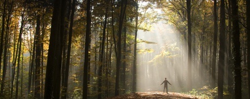 person in the forest