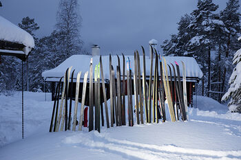 snø ,himmel ,tre ,skråningen ,gjerde.