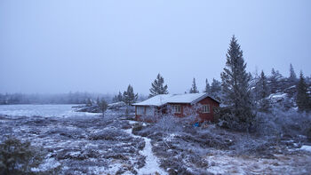 himmel ,snø ,anlegg ,tre ,naturlig landskap.