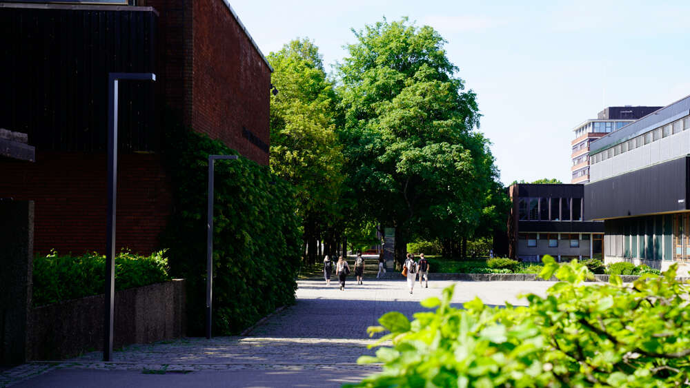 Øvre del av Blindern Campus i sollys