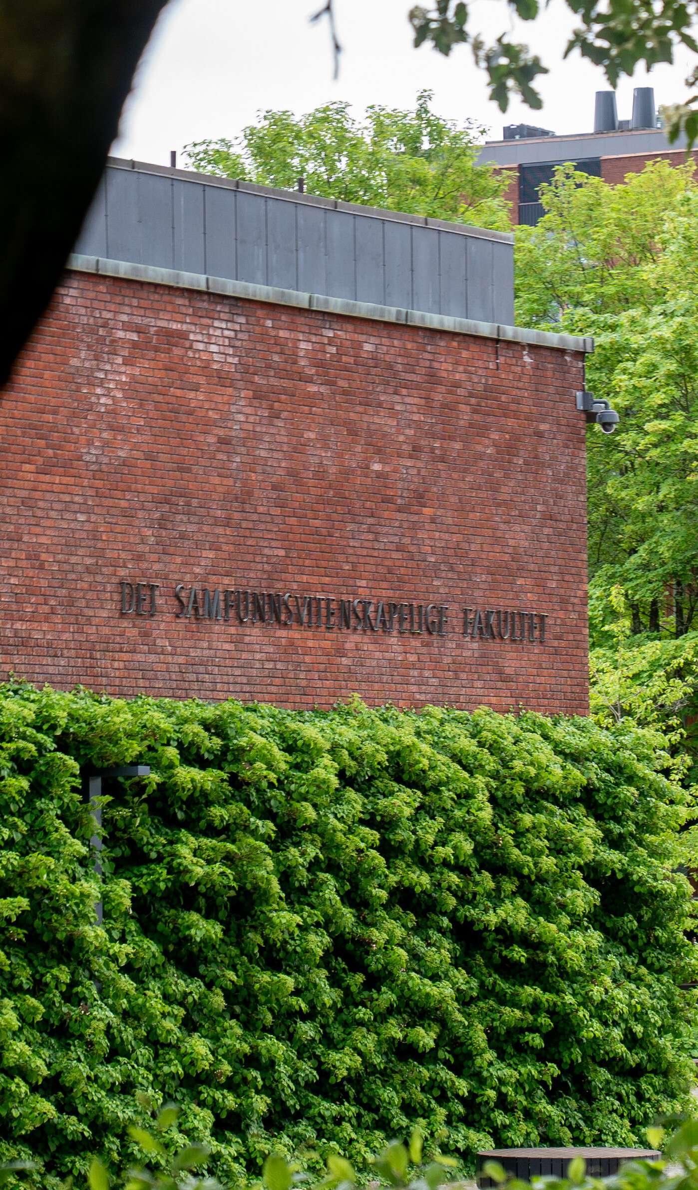 Bildet kan inneholde: offentlig plass, fortau, hellestein, gangvei, betong.
